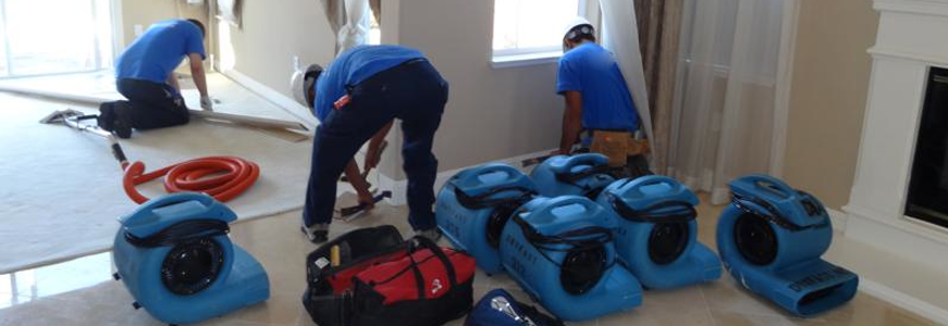 water damage Cleanup London